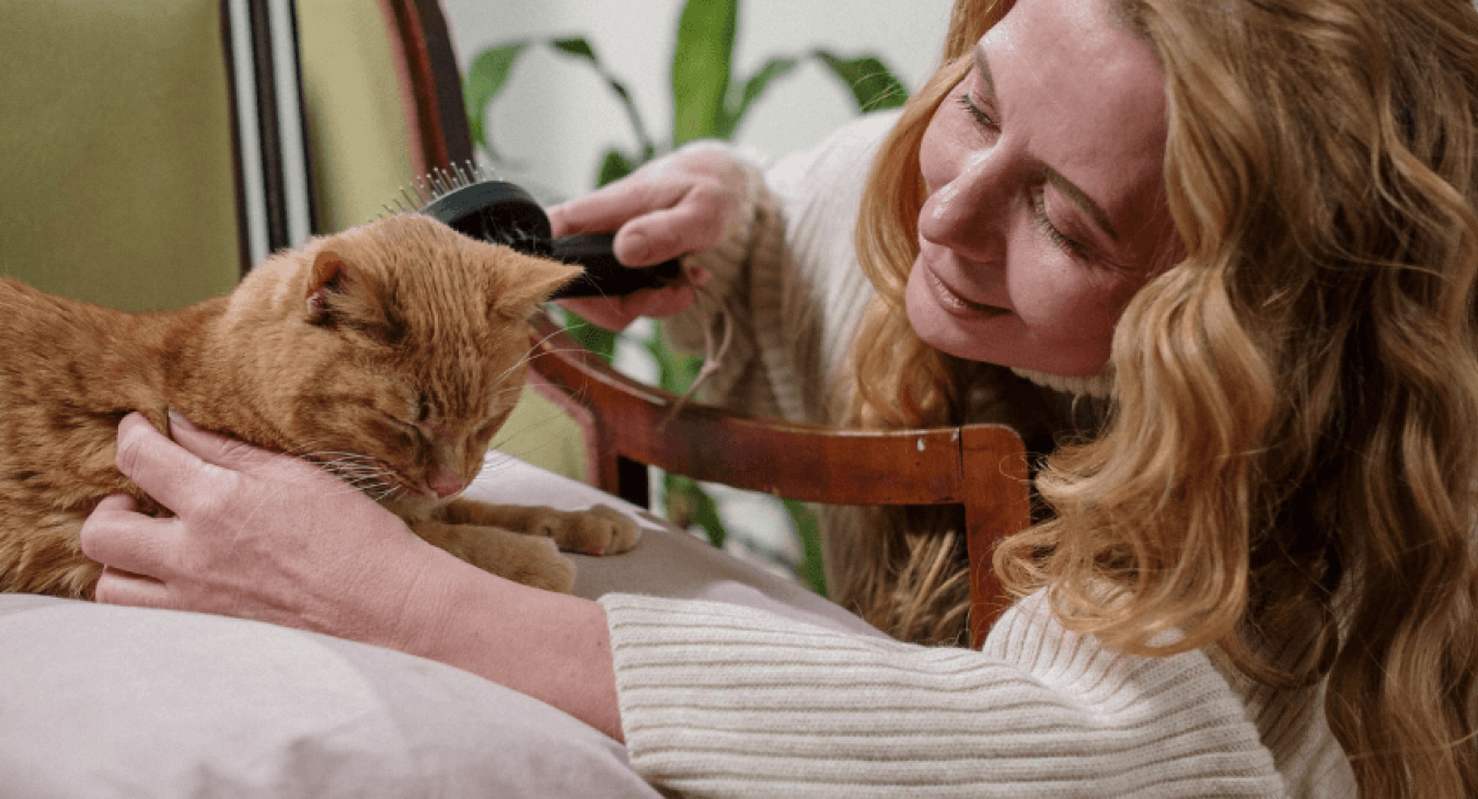Pourquoi mon chat perd-il ses poils ?