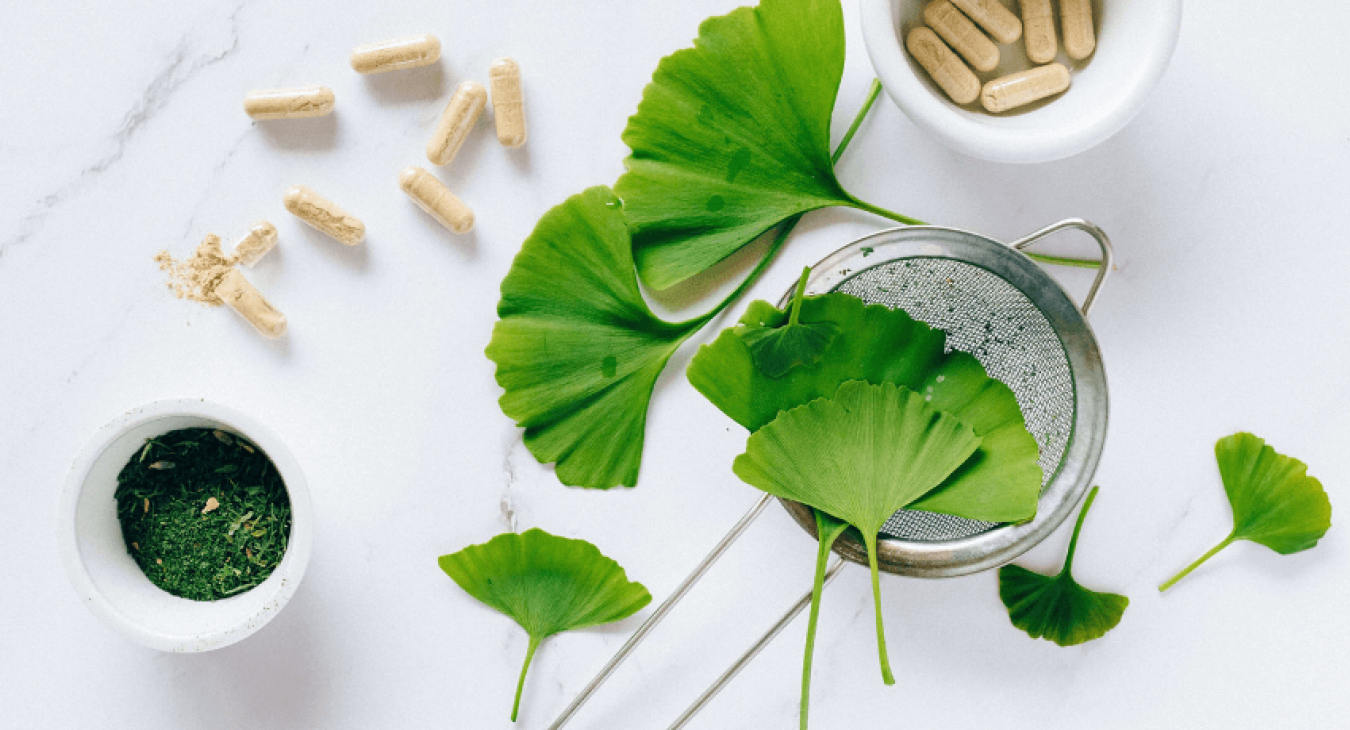 Soigner son chien au naturel avec la phytothérapie