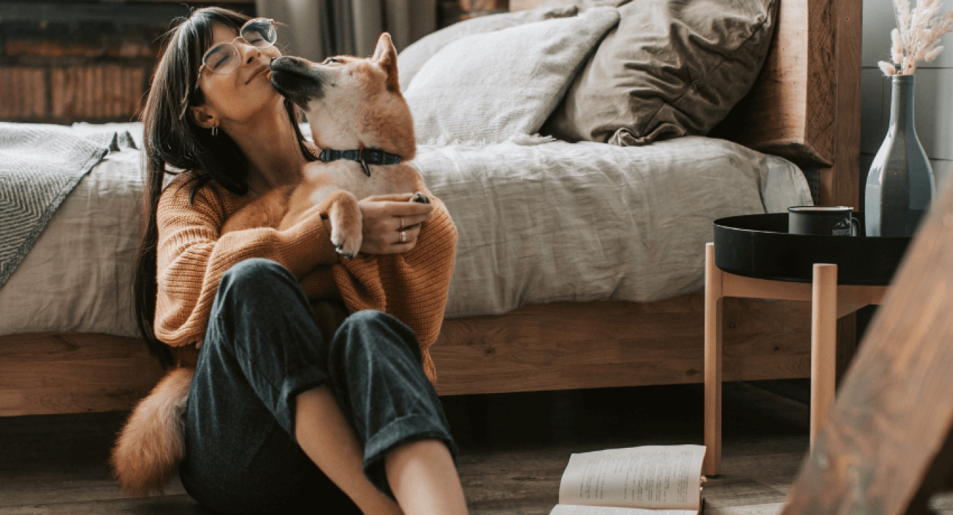 La santé du chien