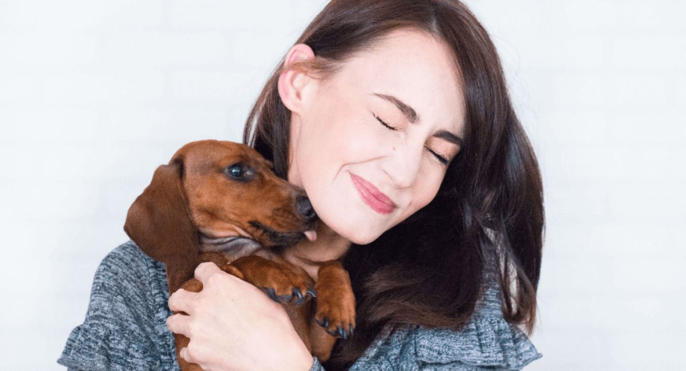 Mieux comprendre votre chien grâce à son signe astrologique