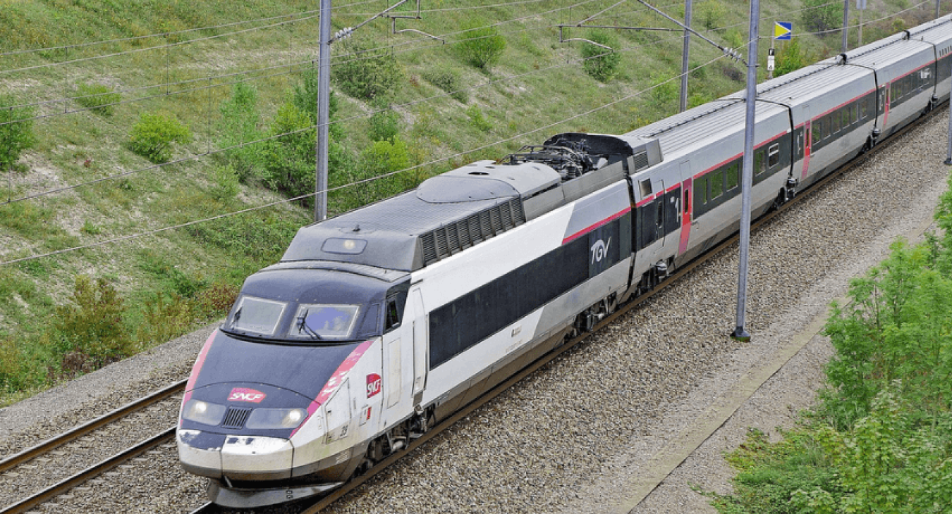 Comment réussir à voyager en train avec un chien?