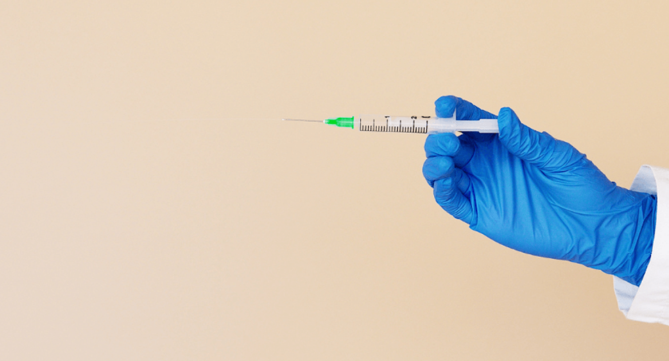 Nos conseils pour bien préparer la première année de vaccination du chiot
