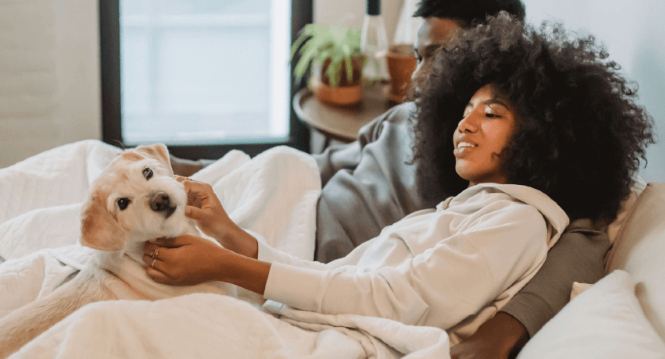 Mon chien et moi : les conseils pour vivre en harmonie avec votre animal