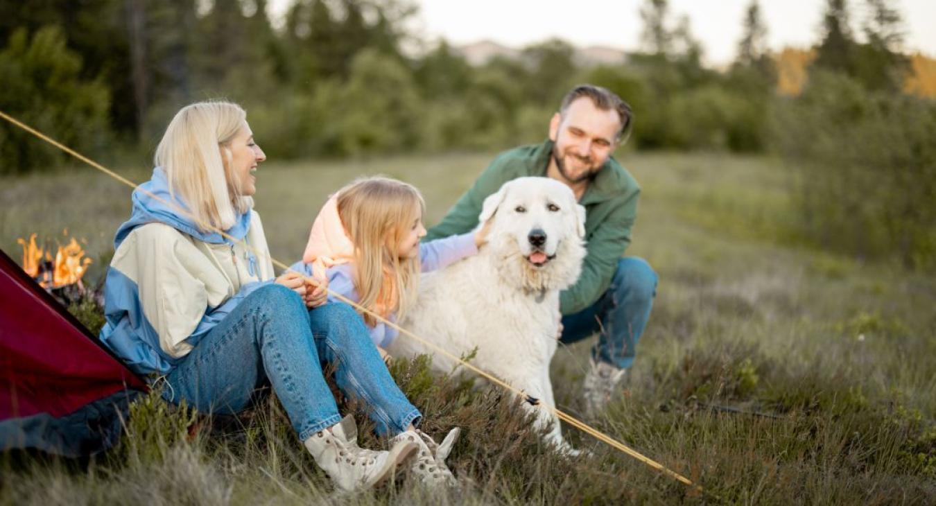 vacancesavecsonchien