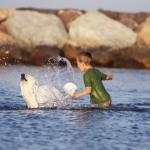 Mon animal est-il couvert à l'étranger ?