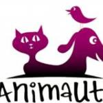 Animaute : le spécialiste de la garde d'animaux
