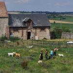 AVA : L’Association d’Aide aux vieux Animaux