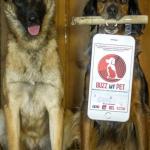 Buzz My Pet : l'application mobile pour les chiens et chats perdus
