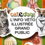 CateDog.com, le site d'information vétérinaire illustré sur le chat et le chien
