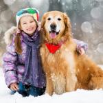 Mon chien et la neige