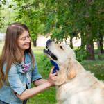 Quelle brosse choisir pour mon chien ou pour mon chat ?