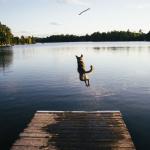 Les dangers de l'été