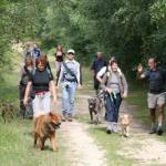 Des vacances qui ont du chien