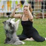 Dog dancing : Danser avec son chien