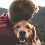 "Dogs" la nouvelle série des passionnés