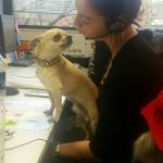 Fidanimo, une entreprise Pet Friendly