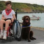 Handi’Chiens et personnes en situation de handicap : le duo gagnant