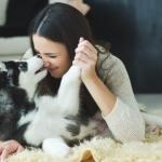 Statut juridique des animaux, de « biens meubles » à « êtres vivants doués de sensibilité »