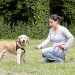 L’éducation positive du chiot et du chien