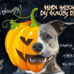 La balade d'Halloween des Gueules d'Anges