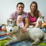 La place des animaux dans la famille 
