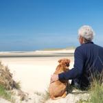 Prévoir les vacances avec mon chien