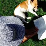 Code de l'animal, le 1er code juridique des animaux