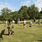Camp d'été Animalin 2018