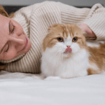 Les bienfaits d’un chat sur votre santé