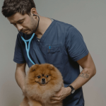 Pourquoi mon chien tousse : toutes les causes possibles