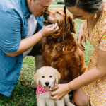 Comment accueillir un chiot au sein d’une famille déjà constituée ?