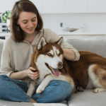 Lutter efficacement contre les maladies parasitaires du chien