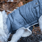 Protéger son animal de compagnie avec l’achat d’un manteau pour chien
