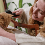 Pourquoi mon chat perd-il ses poils ?