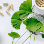 Soigner son chien au naturel avec la phytothérapie