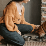 Alimentation canine : pourquoi réduire l’apport en céréales ?