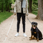 Comment est sélectionné un chien guide d’aveugle ?