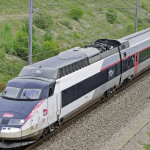 Comment réussir à voyager en train avec un chien?