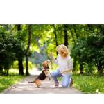 assurer son chien