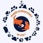  Quelles sont les races de chien adaptées à la vie en appartement ? 