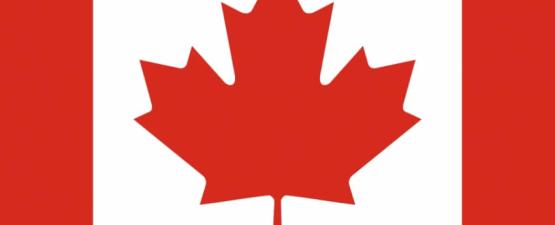 Pepper, premier chien député ?
