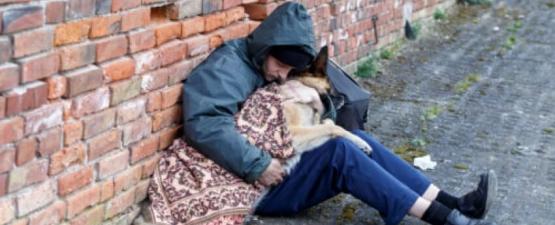 Le chien et l'intégration sociale : un lien fort entre les sans domicile fixe et leur animaux