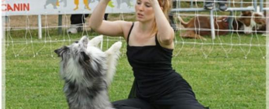 Dog dancing : Danser avec son chien