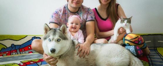 La place des animaux dans la famille 