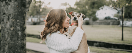 Choisir un chien au caractère affectueux