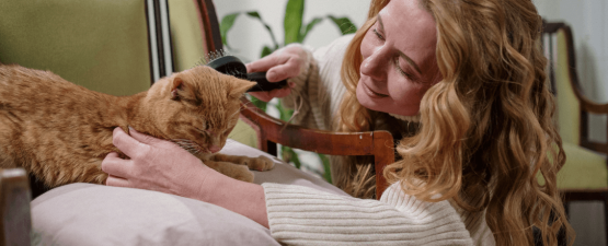 Pourquoi mon chat perd-il ses poils ?