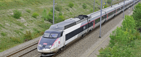 Comment réussir à voyager en train avec un chien?